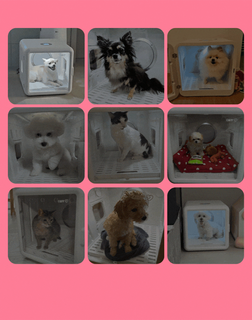 7d7891ddd445109470625c7501fa959b_1772526653_9806.gif 7d7891ddd445109470625c7501fa959b_1772526653_9806.gif